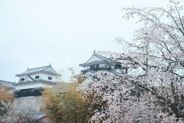 もっと知りたい見学 – 松山城×歴史学講義