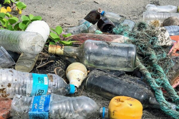 環境政策 と市民生活 – ゴミ処理施設×リサイクルの現在進行形を学ぶ