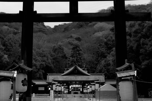 文化財保存技術革新 – 金閣寺×物理的保存と修復保存技術を学ぶ