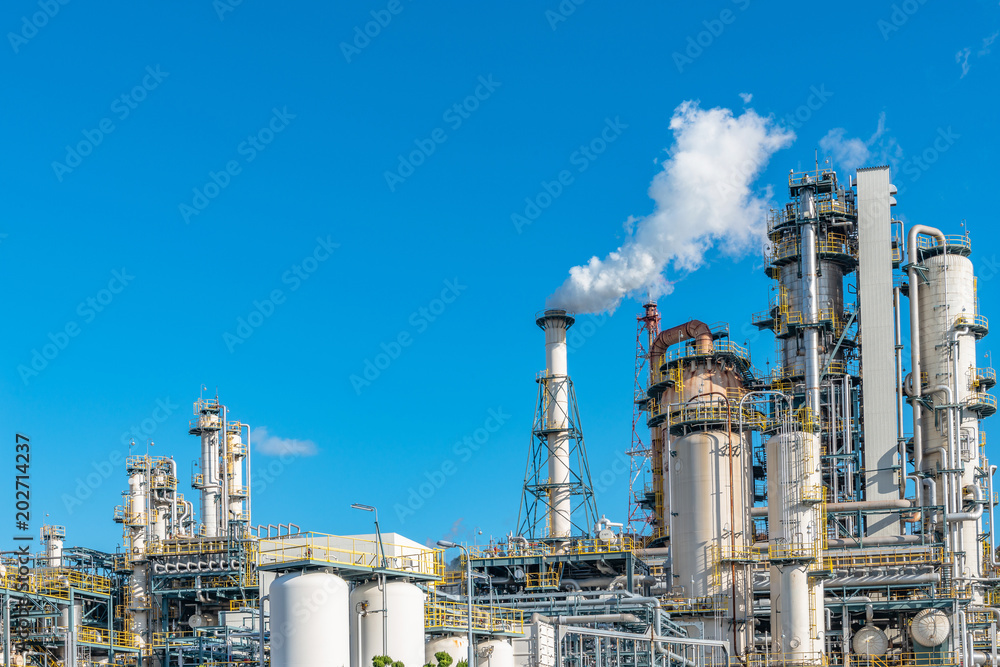 企画サンプル12企画サンプル12企画サンプル12