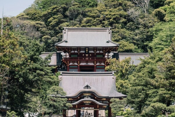 行ってから知る – 鎌倉×鎌倉時代を学ぶ